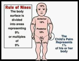Ecc Education Pediatric Case Of The Week 19 Burn