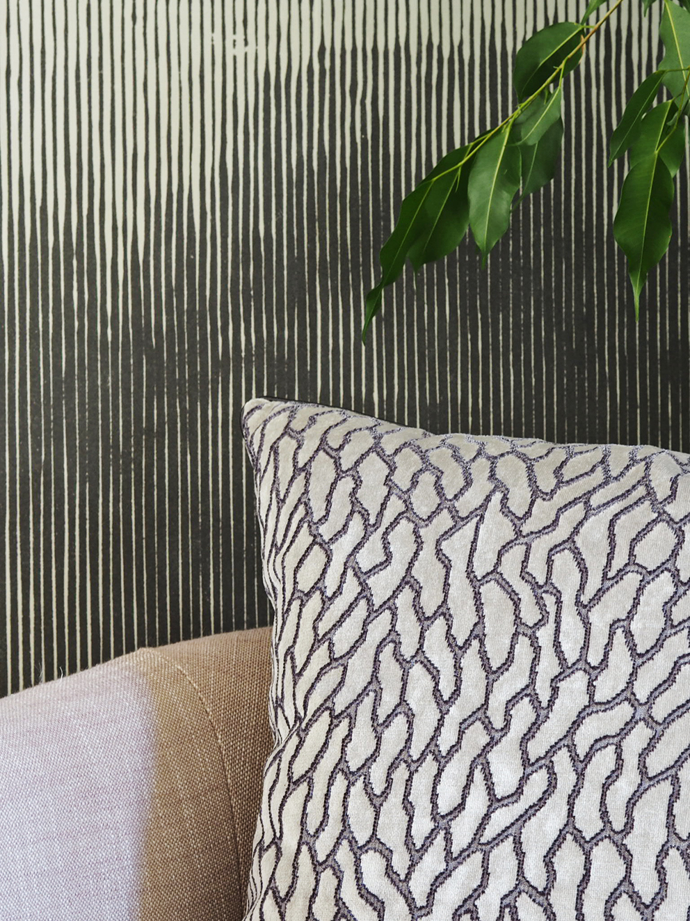 French For Pineapple Blog - Black Edition Mizumi Collection French For Pineapple Blog - Black Edition Mizumi Collection