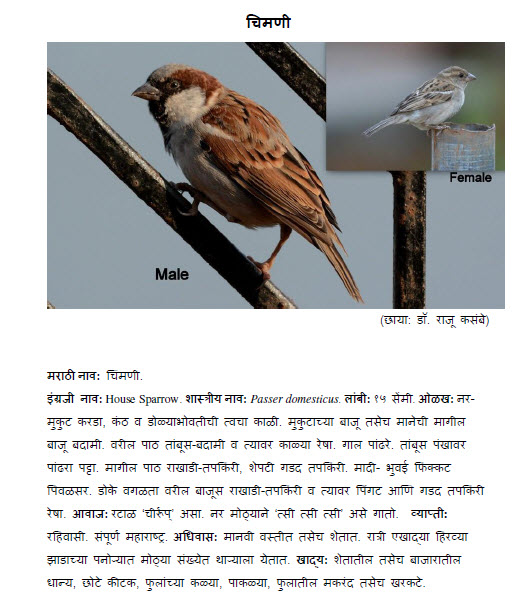 World Tourist Destinations Bird information in marathi