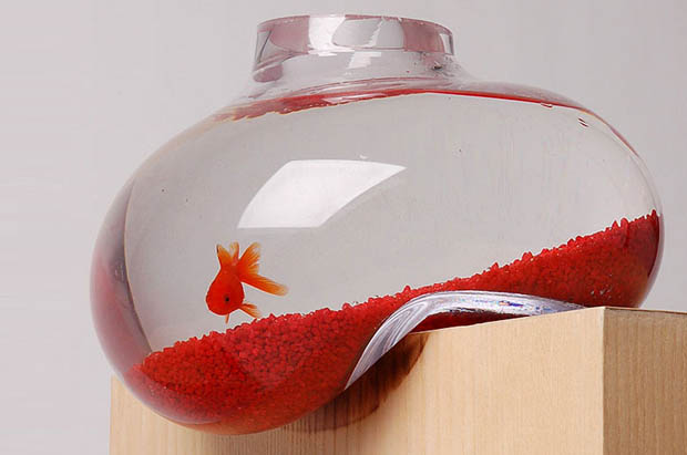 Simply Creative Creative Fish Bowls