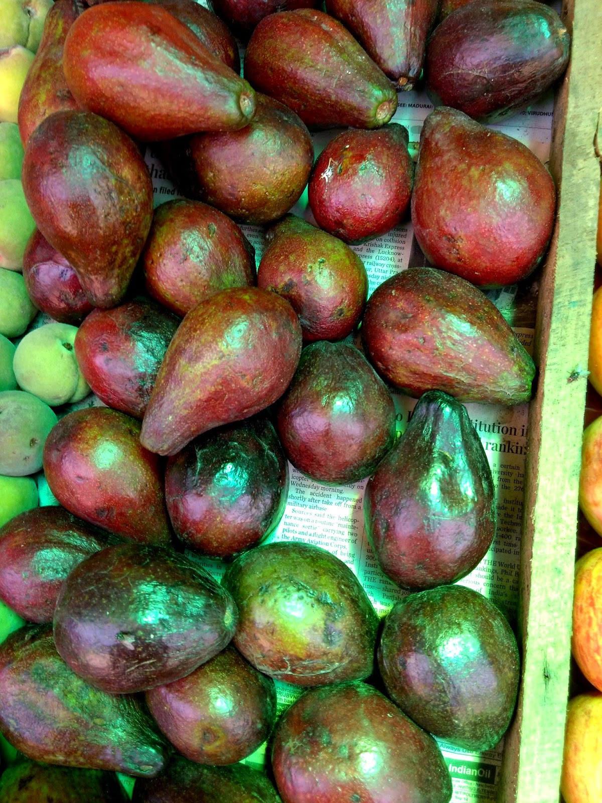 Our Travel Tales Fruits of Kodaikanal