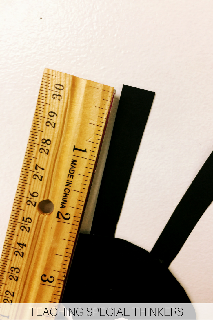 Ladybug Length Measurement Creativity
