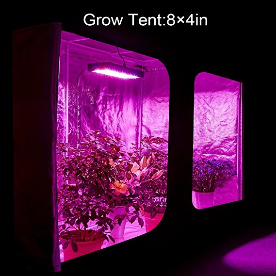 What Are Full Spectrum led Grow Lights