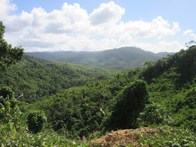 Vistas desde el camino hacia San Fernando, cerca de El Nido