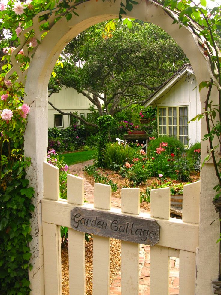 Saving Money in The Yard | Dreaming Gardens Saving Money in The Yard | Dreaming Gardens on My Dream Patio id=86743
