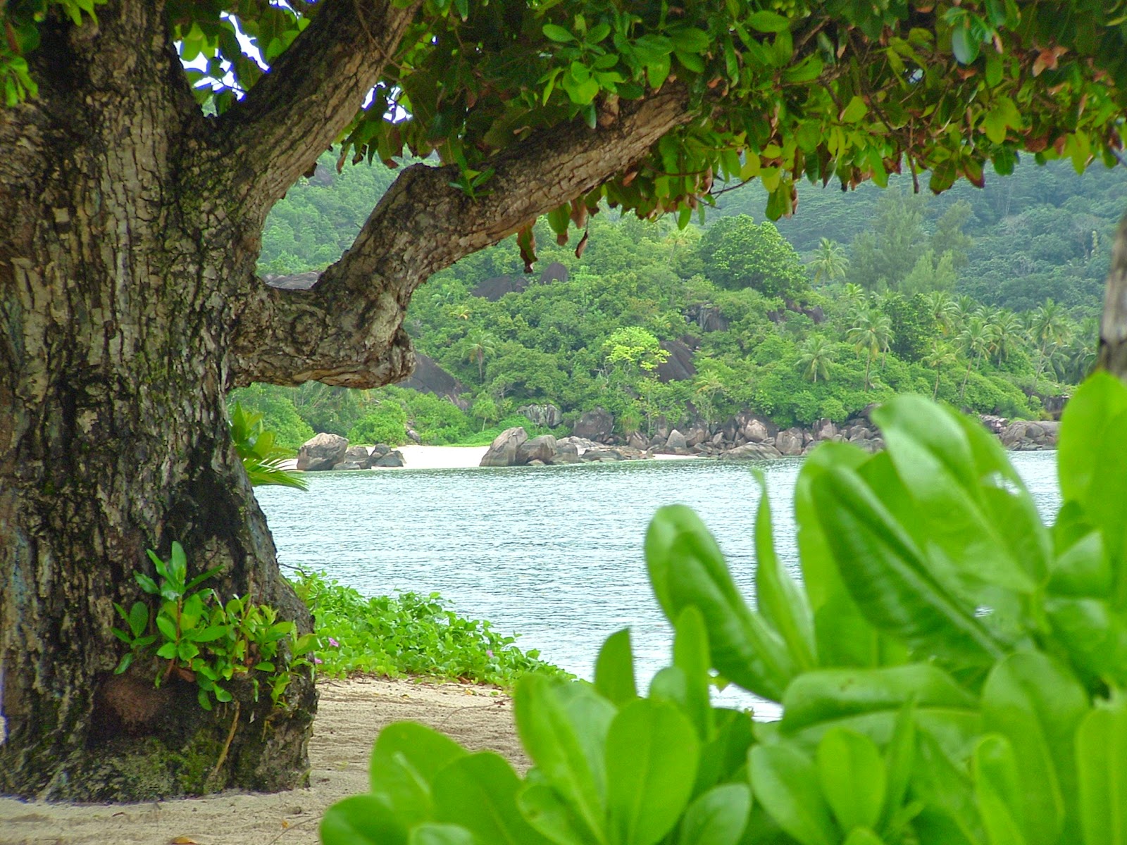 Seychelles Mahè Baia Lazare