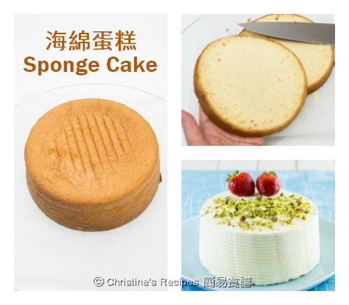 如何做海綿蛋糕 How To Make Sponge Cake