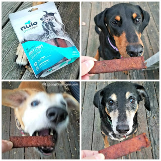 rescue dog Nulo jerky strips treats chewy
