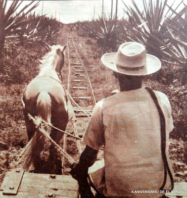 Datos del Henequén, su cultivo en la Península de Yucatán, 1864. Noticias en tiempo real