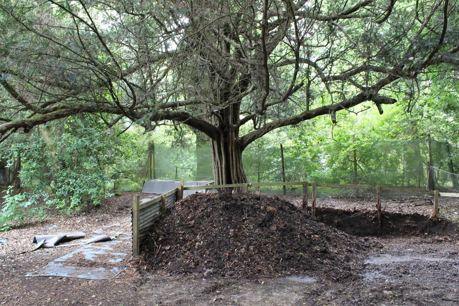 JibberJabberUK: Howick Hall Gardens