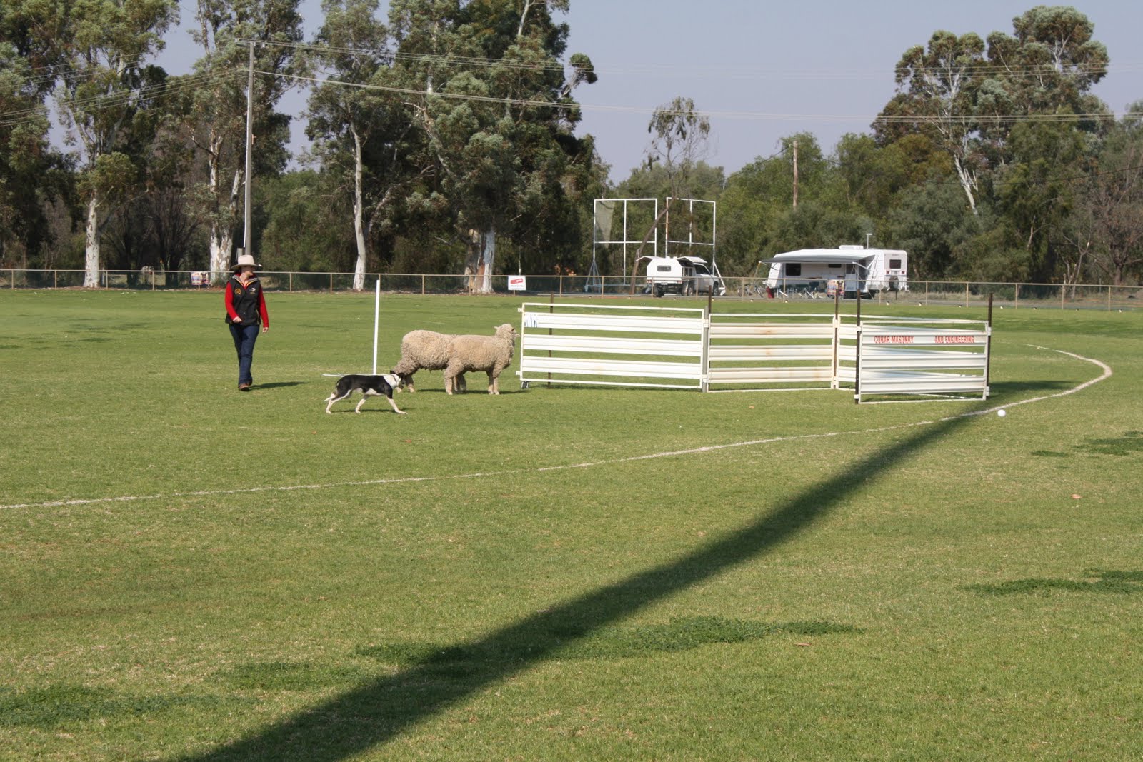 What's doing in: #26 Sheep Dog Trials