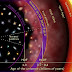 ¿Qué hay más allá del límite del universo observable? ¿Qué hay más allá del límite del universo observable?