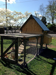 swing chicken coop turned repurposed chickens
