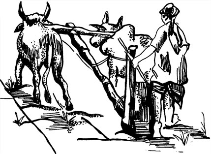 العلوم الزراعية Agriculture