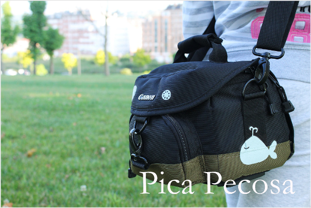 como-personalizar-funda-camara-fotos-con-chalk-paint