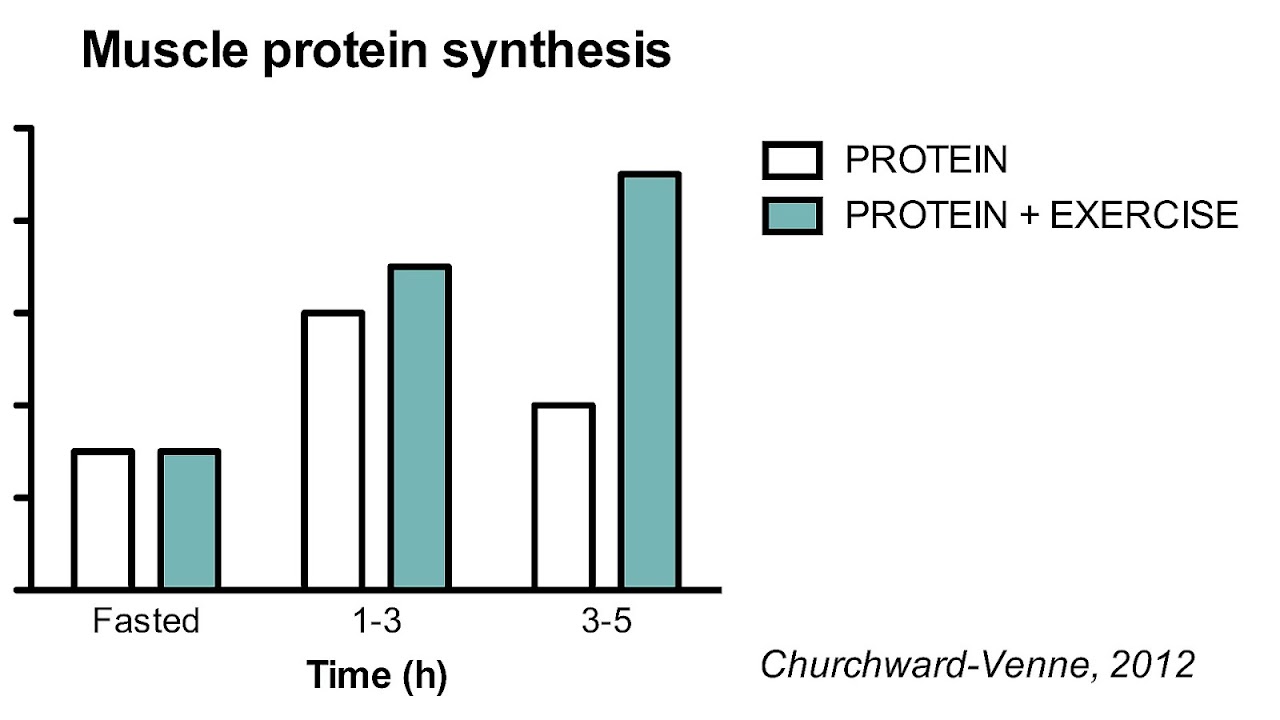 Protein And Muscle Recovery Protein Choices