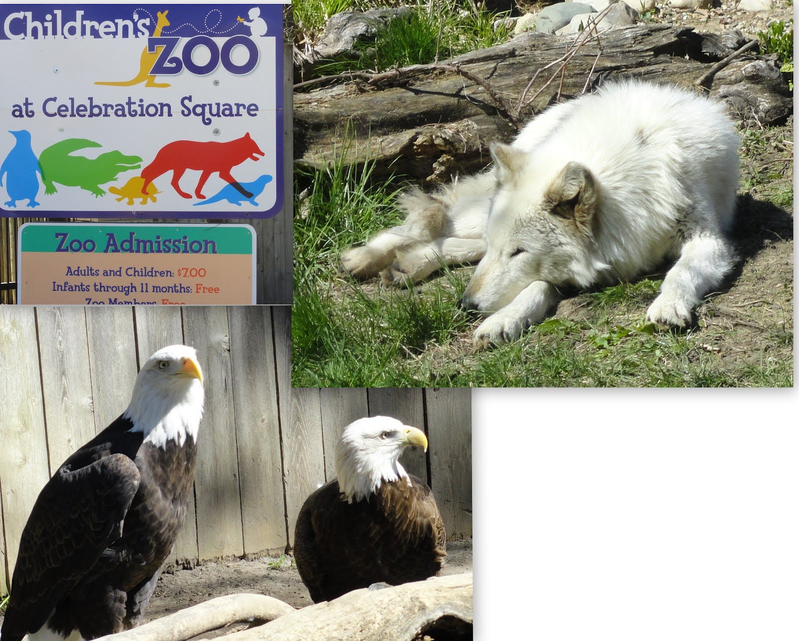 Michigan 1001 Daily Photo Children's Zoo, Saginaw
