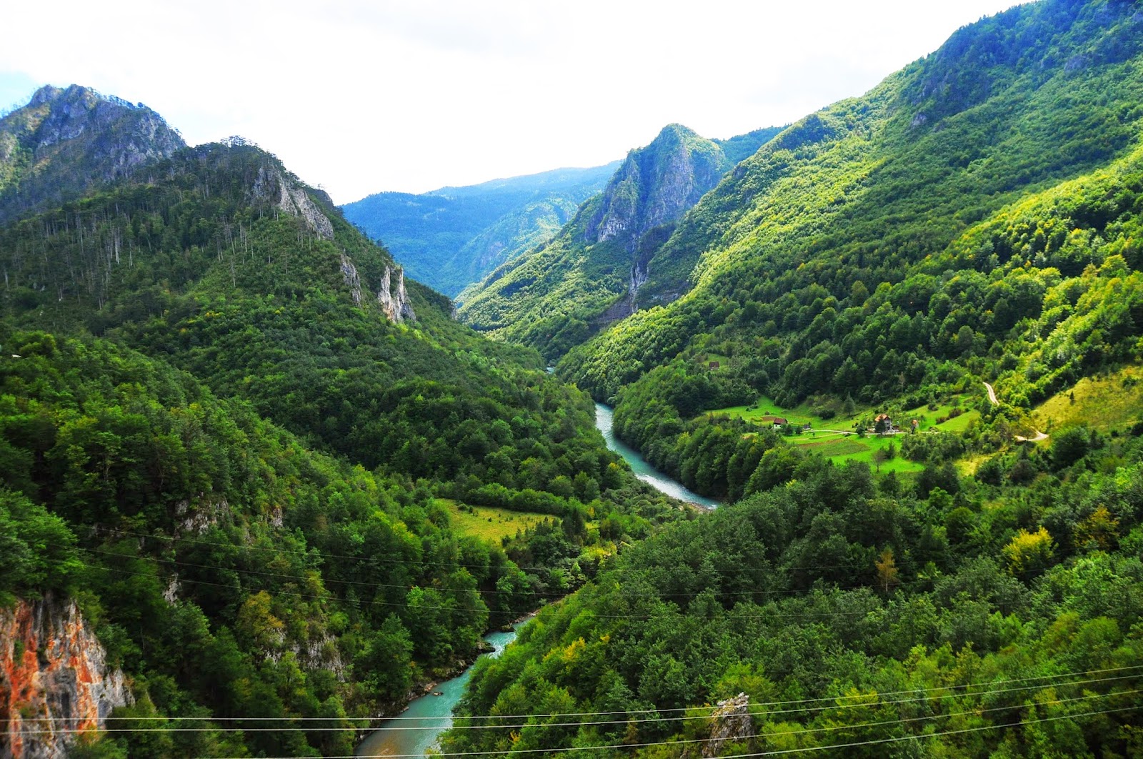 Переработка леса реки тара