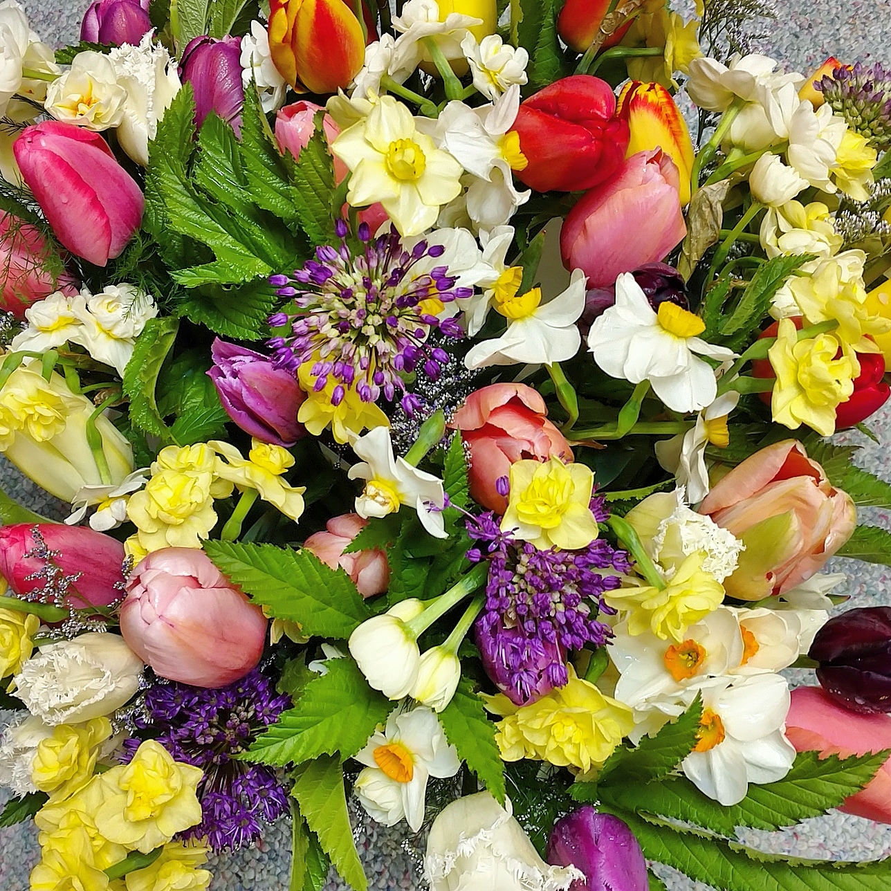 Best in Bloom Today... Year in Review