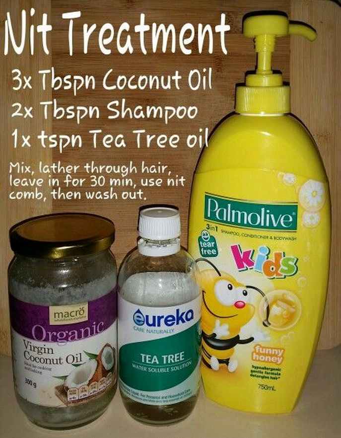 Lice In Hair Treatment Caraway Seeds Health Benefits