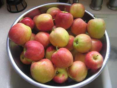 organic orchard practices