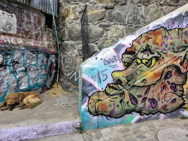 Stray dog sleeping by a staircase covered in street art in Valparaíso Chile