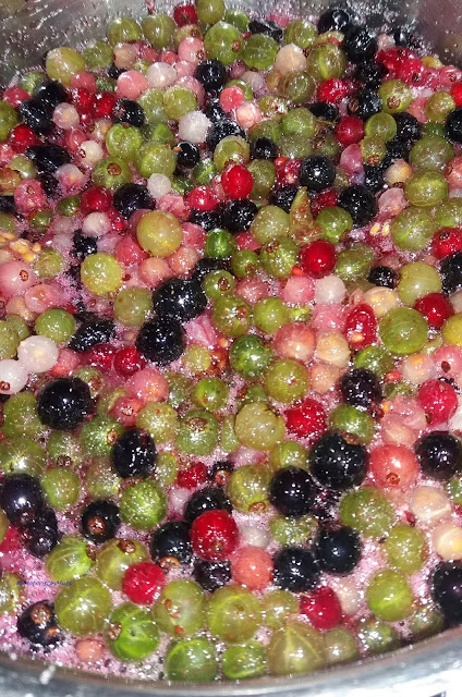 Currants: red, white, pink, green and black