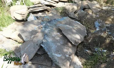 Pedra para caminho de pedra, tipo chapa de pedra moledo com espessura entre 7 cm a 15 cm com tamanhos de faces variados entre 30 cm e 70 cm.