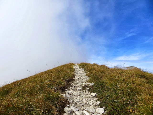 rifugio dal piaz e monte pavione