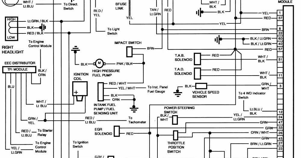 Electrical Wiring Diagram 89 Ford F 250