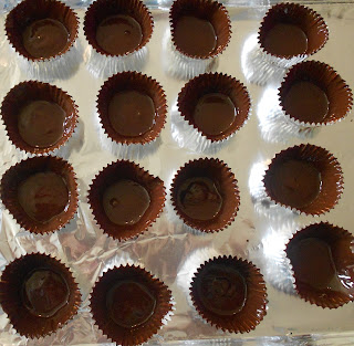 Baking Banquet: Frozen Yogurt and Chocolate Bliss Cups