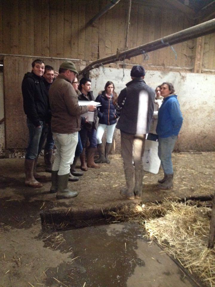 TNLA 2016 CFA de Sains du Nord : Visite de la ferme de la Corbière avec ...
