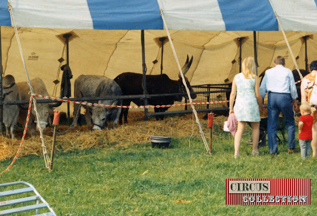 tente des animaux exotiques duCirque National Suisse Knie  1970