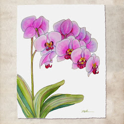orchids watercolor ink orchid painting paintings flowers oil tropical mixed flower painted janet zeh purple abstract zehoriginalart drawing peinture orchidee