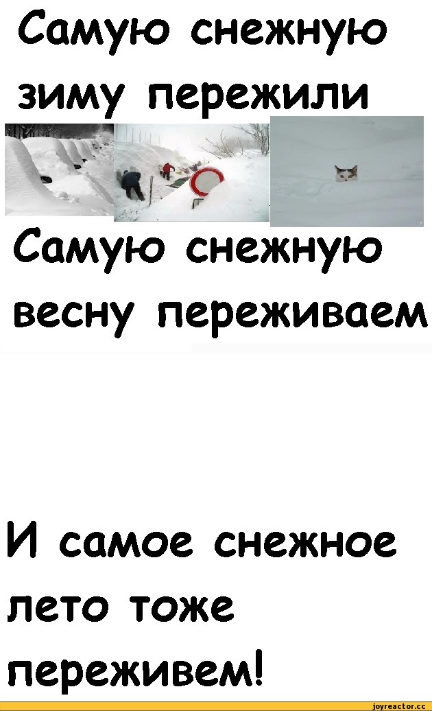 Приколы про зиму. Зиму пережили. Шутки про весну. Смешные зимние высказывания. Как пережить зиму в дст.
