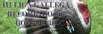 III LIGA GALLEGA DE R.B.3D- 2012