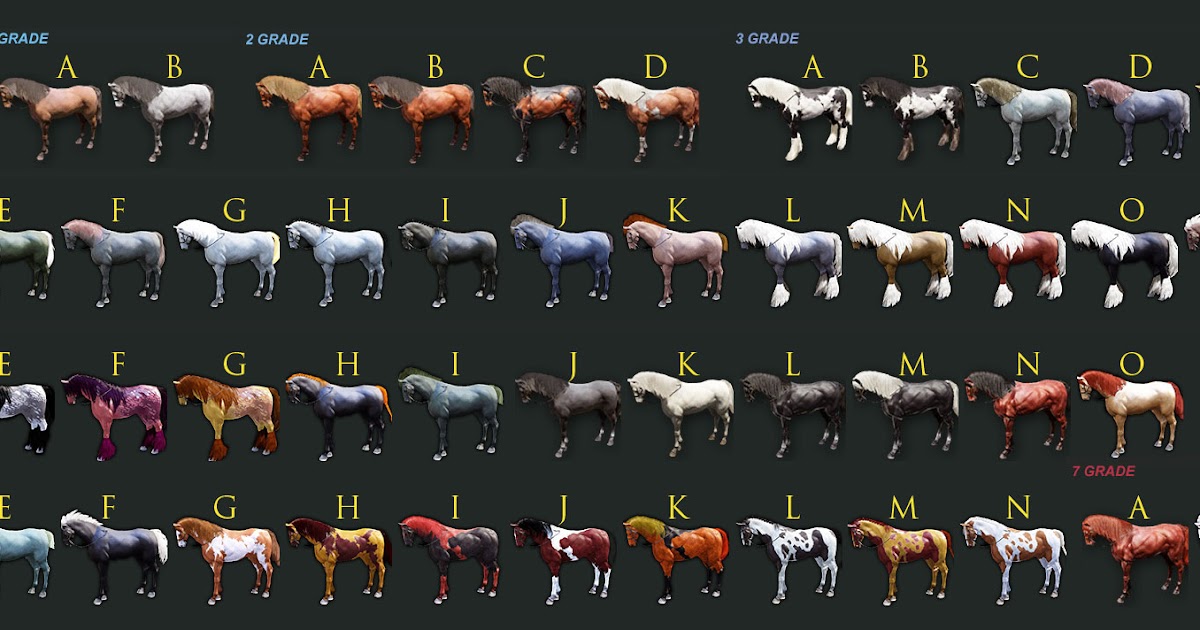 black desert online tips black desert horse chart
