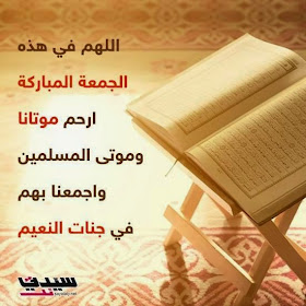 835d220d5b03ccc74e84feac2c592a7c