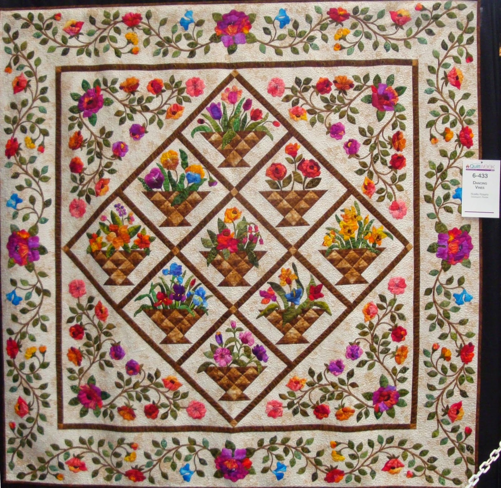 FABRIC THERAPY 2014 AQS Chattanooga Quilt Show, Part Five...