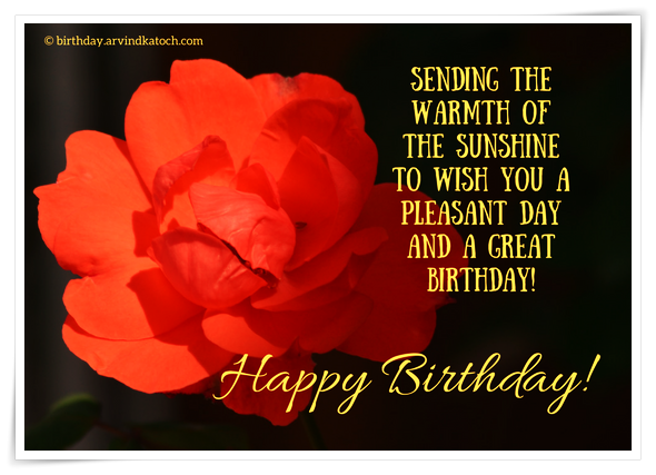 Sending the warmth of the sunshine (Birthday Card with First Sunshine touches the Rose) sunshine, warmth, birthday, rose, flower, birthday card,