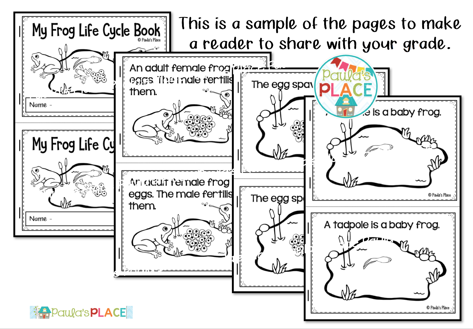 Paula's Place Teaching Resources Frogs and Ladybugs