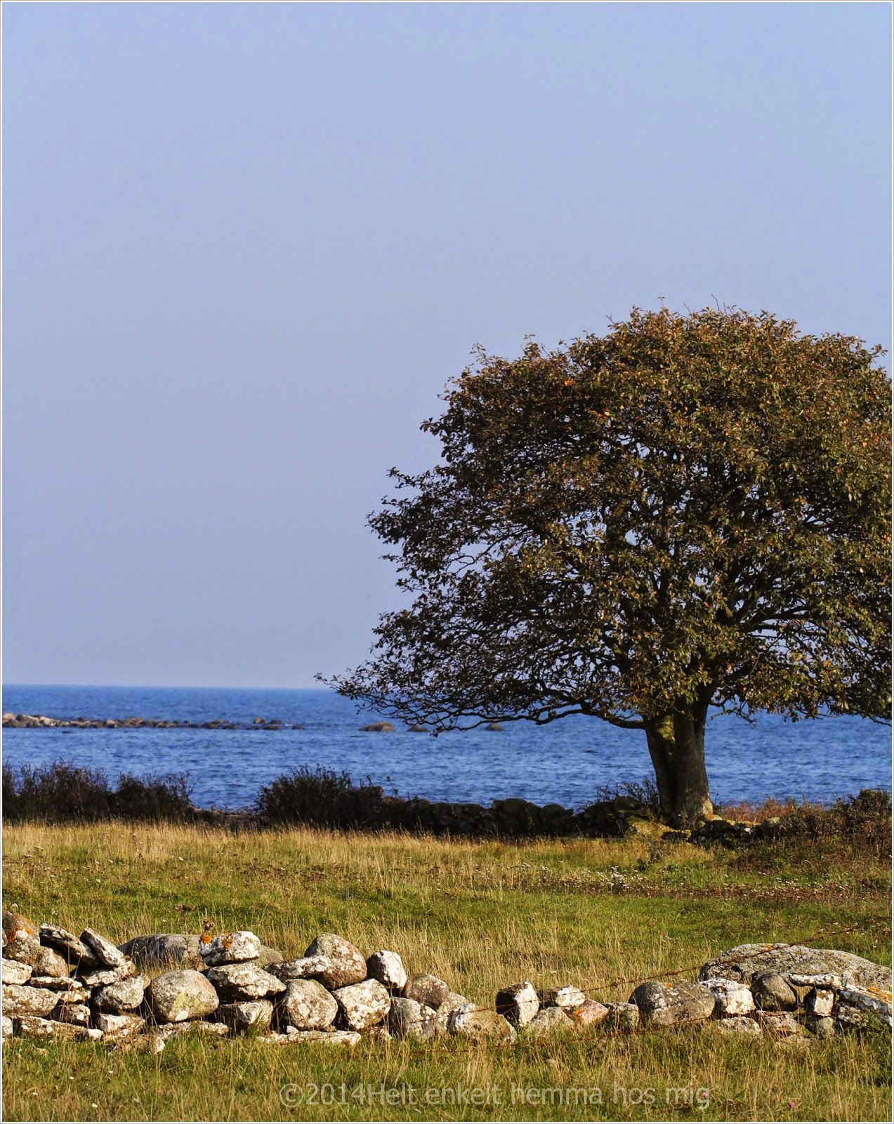 Helt enkelt hemma hos mig: oktober 2014