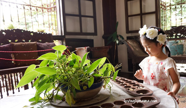 Delfin Ledesma Ancestral House with pool - Silay Airbnb - Bacolod blogger - Bacolod mommy blogger - family travel - breakfast in the garden - Filipino breakfast - landscaping - yard - Silay City hotel - Balay Negrense