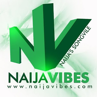 What You Need To Know About NaijaVibes Your Favourite Music Download Portal Naija Vibe
