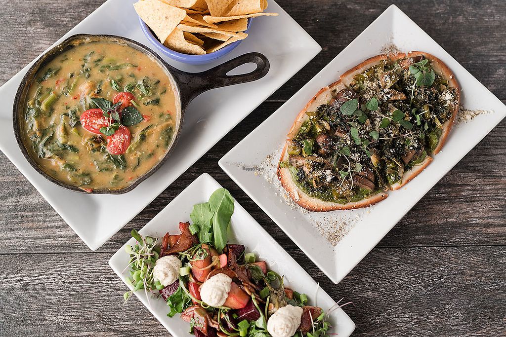 Dog Friendly Restaurant Patios in Salt Lake City Girl on a Hike