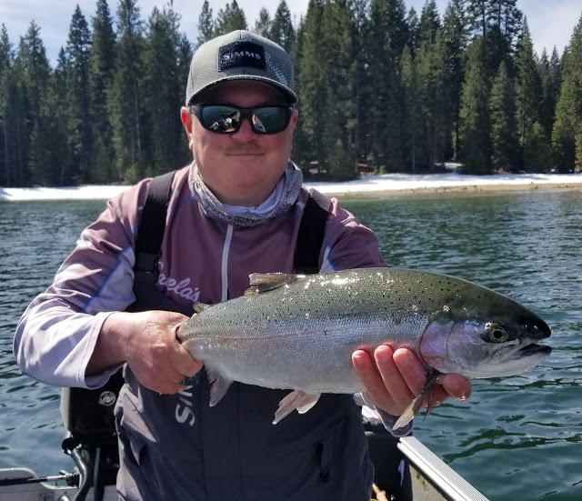 15ft 2 Droppers x 3 Trout Fly Leaders 8lb Fishing Angling