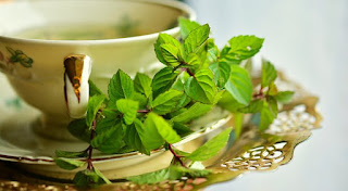 peppermint-www.healthnote25.com