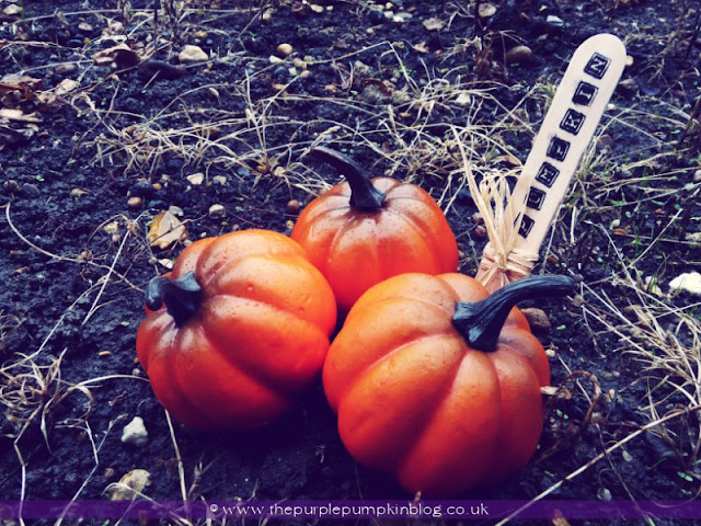 Stamp Your Own Plant Markers at The Purple Pumpkin Blog