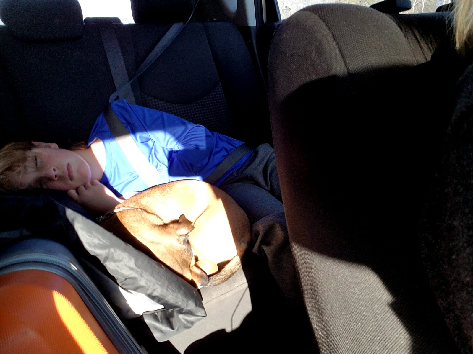 Mountain Llama 2018 Bamboozled IPA PreGame 5K