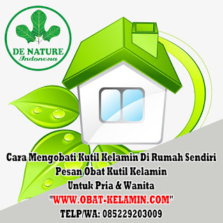 Obat Kutil Kelamin Obat Kutil Kelamin